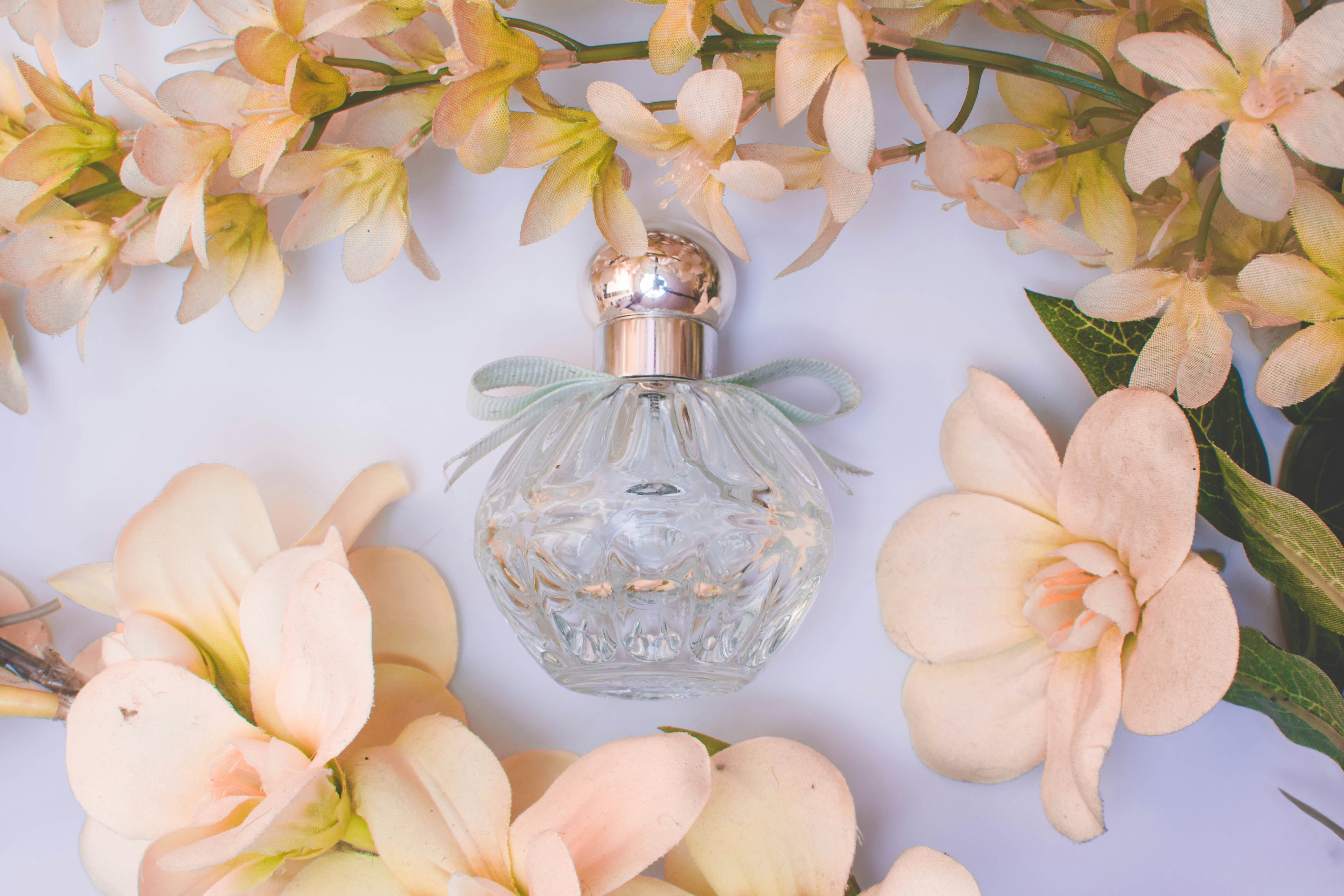 Perfume 2
